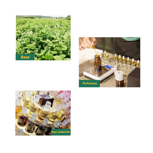 50ML Smart Car Air Freshener Refills（Fantasy forest） - image 6