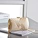 YAPAIOU Clutch Purses For Women Tassel Evening Clutch bag Crossbody & Shoulder Bag For Wedding Night out Party Champagne Gold