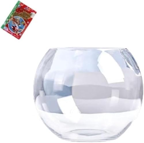 AOBOPO KXAk͔|AReiAfXNgbv ~ߒ ی^AɐBAJArO[ϏܐA