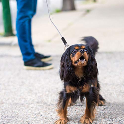 Corda de aço para cães BESPORTBLE, corda de fio de aço resistente à prova de mastigação, cabo de seg