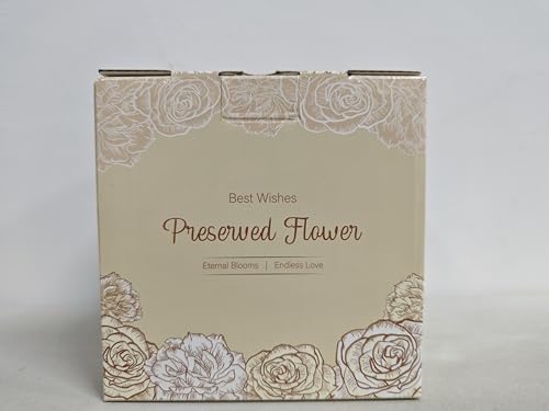 MAMAMIKO Preserved Flowers with Glass Cover Great Gifts for her