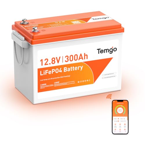 TEMGO 12V 300Ah Self-Heating LiFePO4 Battery