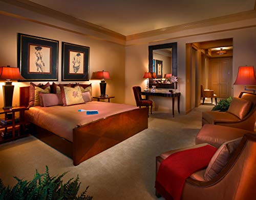 Soft Bristle Cleaning Brush Hand Brushs Bed Hair Dust Removal Scrubber Cleaner For Family Trip Sofa Furniture , Blue #TOP4