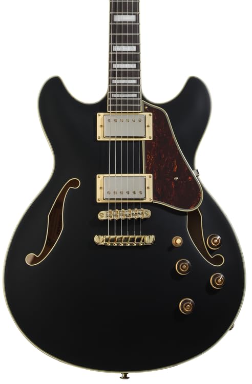 Amazon.com: Ibanez Artcore AS73G Semi-hollowbody Electric Guitar