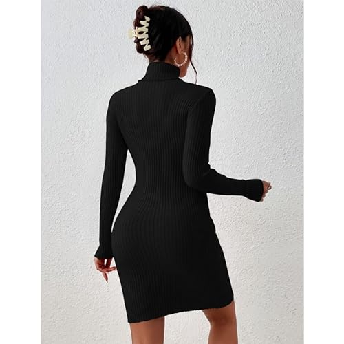 Image of GLARE & BLAIR Solid Turtle Neck Regular Fit Casual Ribbed Knit Long Sleeve Bodycon Dress for Women