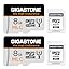 8GB High Endurance 2-Pack