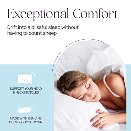 East-Coast-Bedding-Pure-Dream-Firm-Pillow-Standard-Size-20×26-Inch-Medium-Support-Goose-Feather-Down-Pillows-100-Cotton-Shell-Standard-Pillow-Set-of-2 East Coast Bedding Pure Dream Firm Pillow Standard Size 20×26 Inch Medium Support Goose Feather Down Pillows 100 Cotton Shell Standard Pillow Set of 2