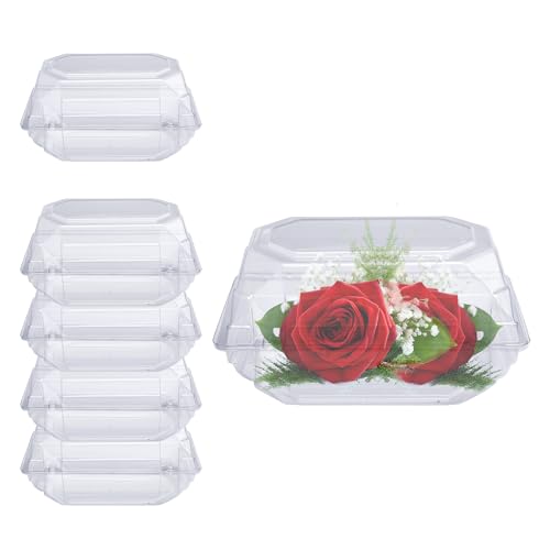 Curtis Wagner Plastics CW-754 Clear Medium Corsage Flower Boxes (5-Pack) - 8 x 5 x 4 Size Plastic Floral Containers for Corsage Boutonniere Roses Small & Large Flowers Clear Gift/Craft Box