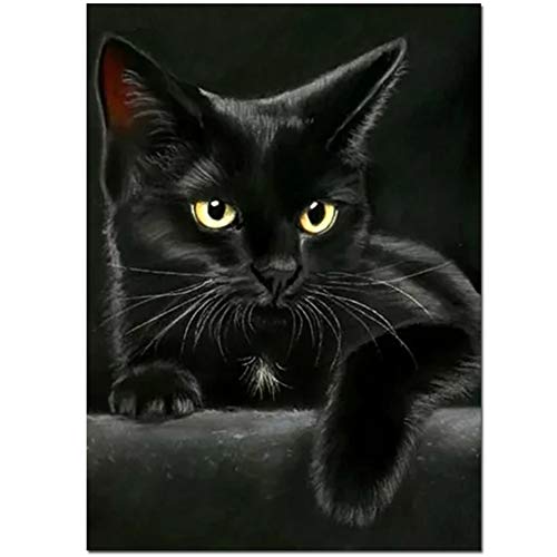 Cupsofu Animal Chat Noir Peinture, Rond Broderie Art Bricolage Travail Manuel Mignon Pet Puzzle
