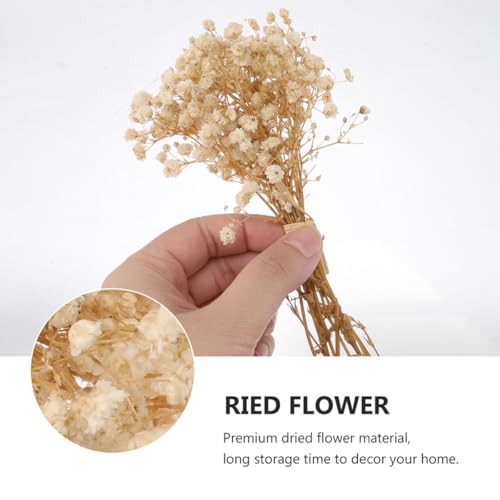 Bouquet de flores secas Gypsophila 10 ramos 12 cm miniatura 6