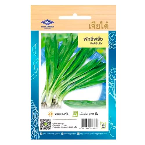 Graines de persil long thaï - Parsley - Chia Tai Home Garden - Herbe aromatique à longues feuilles pour cuisine asiatique et européenne - Sachet de 2800 graines