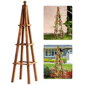 Idzo 61-Inch Upgraded Wood Obelisk Trellis for Climbing Plants Outdoors, Decorative Brown Finish, Durable Design, Space-Saving Structure, Easy to Assemble, Ideal for Gardens, Patios, and Indoor Use Idzo 61 Inch Upgraded Wood Obelisk Trellis for Climbing Plants Outdoors Decorative Brown Finish Durable Design Space Saving Structure Easy to Assemble Ideal for Gardens Patios and Indoor Use