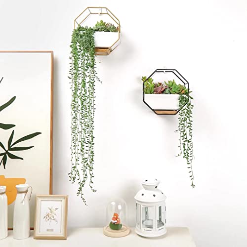 Ivolador Modern Wall Planter, Metal Wire Octagon Design Wall-Mounted Shelves With Ceramic Flower Pot, Air Plant Container Hanging Vase Desktop Succulents Planter-Black #TOP2