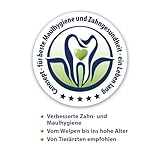 Canosept Zahnpflege Hund (3-teiliges Set) - Hundezahnbürste – Hundezahnpasta – Fingerlinge Hunde - Zahnbürste Hundepflege - Zahnstein Hunde Zahnpflege - Zur Zahnreinigung Hund bei Mundgeruch