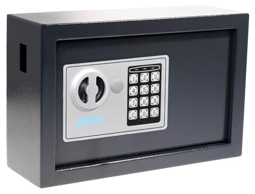 Pavo - Armario de llaves de alta seguridad para 20 llaves/Caja fuerte para llaves/Dimensiones: 310 x 200 x 100 mm / Incluye 20 llaveros - 8002696
