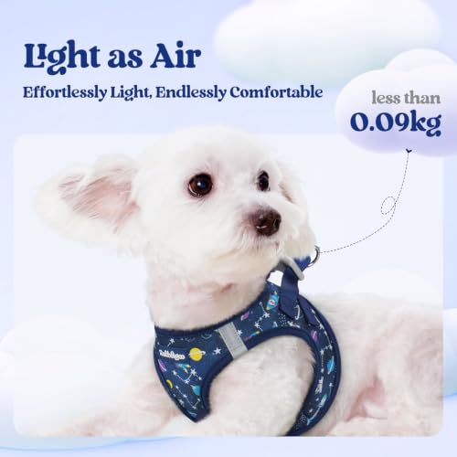 Image of rabbitgoo Dog Harness Small Sized and Leash Set, Step-in Puppy Pet Vest