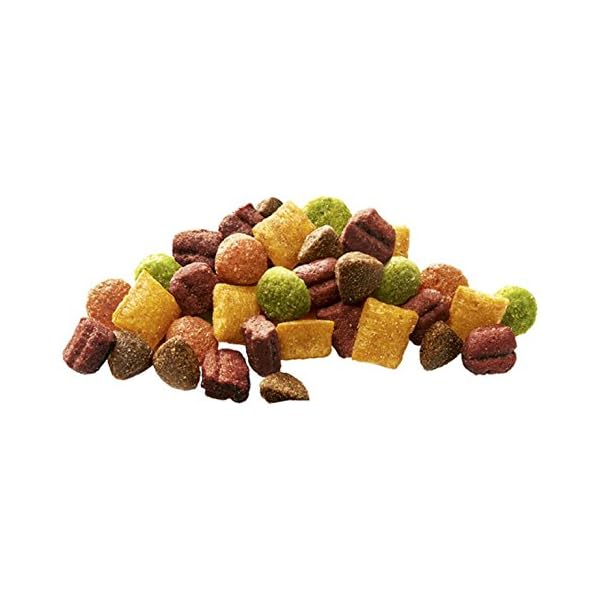 MARS - Whiskas 1+ Complete Chicken - 2kg - EU/UK – Bild 6