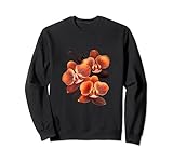 Phalaenopsis Orchid Art Houseplant Flowering