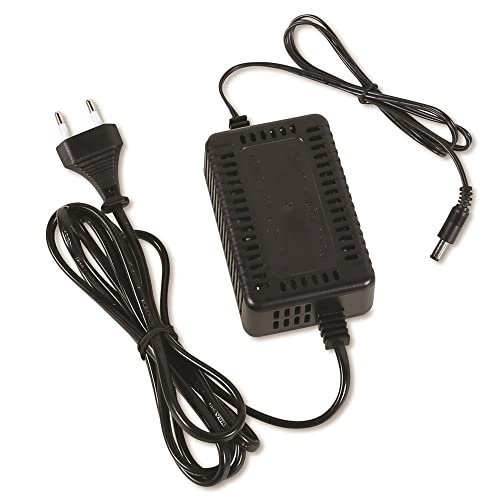 Ficha técnica Beta Arrancador Portátil Ultraligero de Alto Rendimiento 12-24V para Baterías de Coche Comerciales y Camiones 10000A Protección Total 014980014 - Fernando Cortés