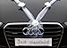 Organza M Auto Joyas Novia par Rose Decoración Boda Coche Wedding Deko...