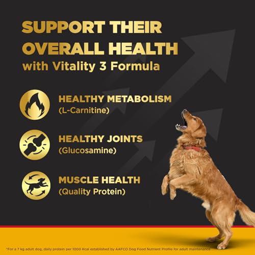 Image of Pedigree PRO Senior (7+ Years) Dry Dog Food, 3 kg, High-Protein Dog Food, Expert Nutrition with 33%* More Nutrients