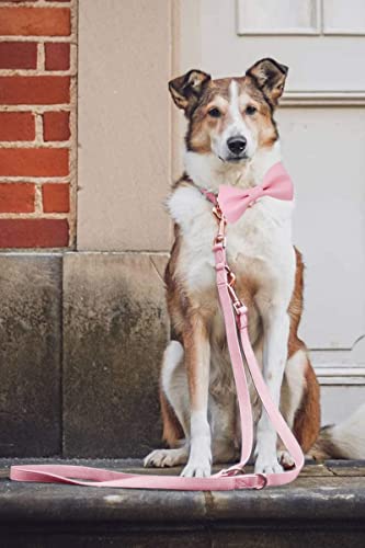 Soft Leather Bowtie Dog Collar - Adjustable Cute Bow Tie Collar [Easy To Clean] With Stylish Rose Gold Heavy Duty Metal Buckle For Small Medium Large Dogs Pink S #TOP1