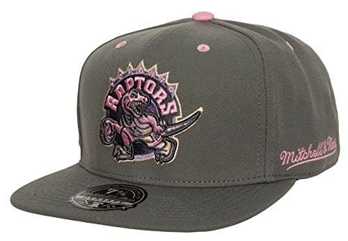 Mitchell & Ness Toronto Raptors Lavender Dreams 10th Anniversary Side Logo Fitted Hat Cap - Gray and Pink (US, Numeric, 7, Gray, Toronto Raptors)