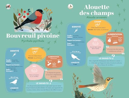 Vignette produit