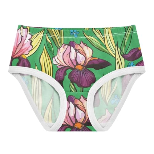 Cotton Toddler Girls Underwear Irises Pink Purple Green Little Girl Panties Cartoon Briefs Undies Kids 2t