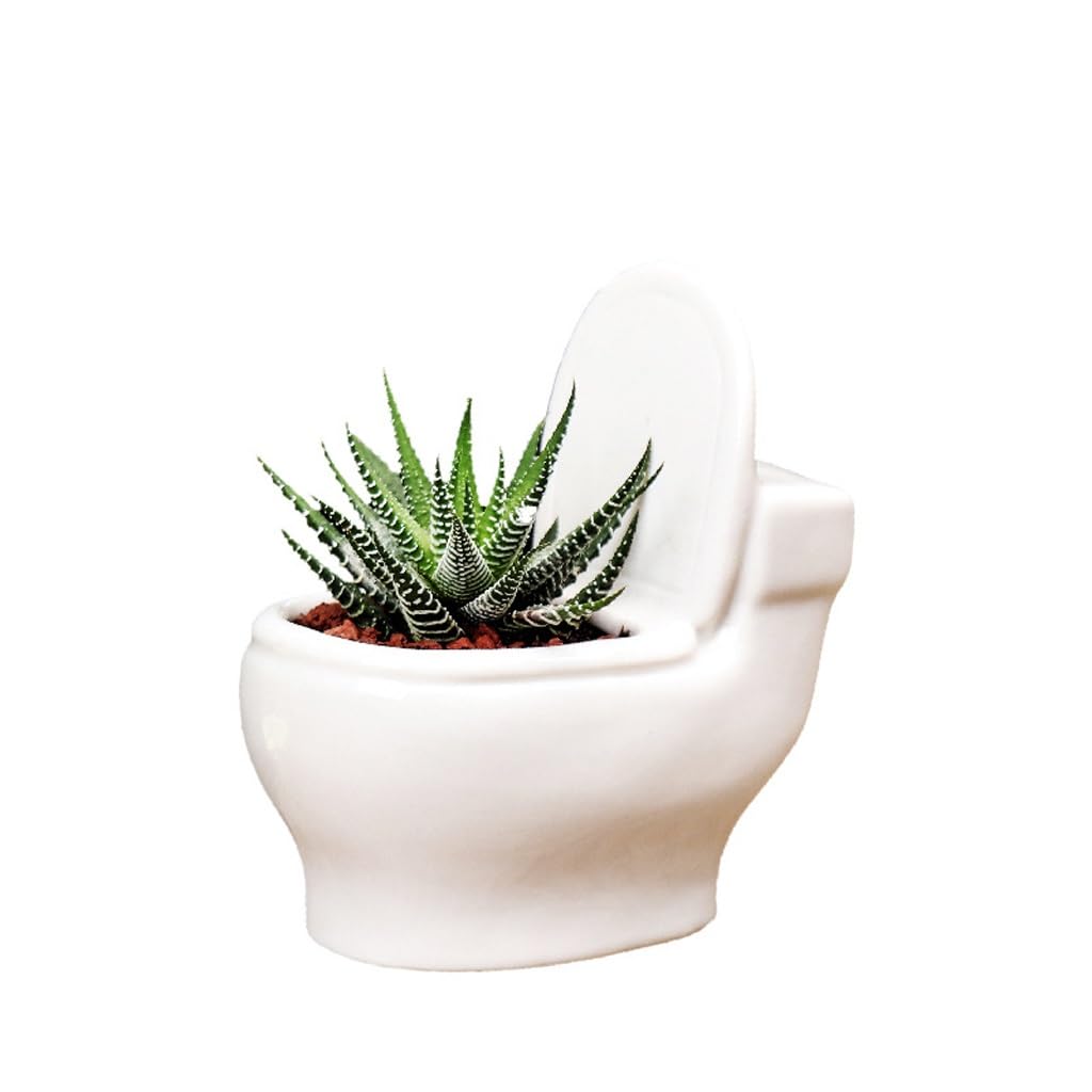 Pots de fleurs succulents en céramique blanche style européen chic