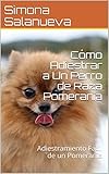 Cómo Adiestrar a Un Perro de Raza Pomerania: Adiestramiento Fácil de un Pomerania