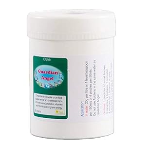 Guardian Angel 40g (Sick Bird Supplement) – The Birdcare Company