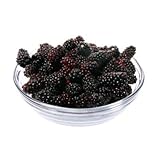 Fresh Frozen Marionberries by Northwest Wild Foods - Healthy Antioxidant Fruit Diet - for Smoothies, Pies, Jams, Syrups (9 Pounds)