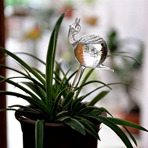 Diffuseur d'eau automatique plante intérieur en verre décoratif - 8