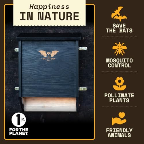 Image of BIGBATBOX Bat House for Outdoors - Large 2 Chamber, Black, Holds 75 Bats