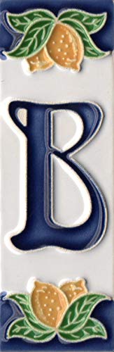 Números de casa, azulejos de cerámica italiana con números y letras, diseño de limón, tamaño del azulejo: 10 cm x 3,5 cm (letra B)