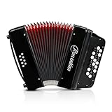 Accordion - 22 keys 8 bass, lightweight piano accordion for beginners, vibrant design for beginners and adults for easy learning (8 Bass, Black)