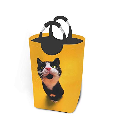 킢 L F h[{bNX oXPbg h[ {bNX [{bNX [obO E߂ Vv ht ܂肽 IbNXtH[h e 32×28×57.5cm