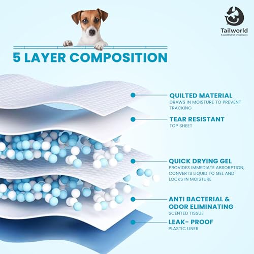 Image of Training Pads, with Odor Lock Technology & Super Absorbent Pee Pads, Leak-Proof Dog Potty Training Pads for Puppies, Dogs,Cats & Rabbits (60 X 60 cm) Pack of 3(30 Pcs Each)