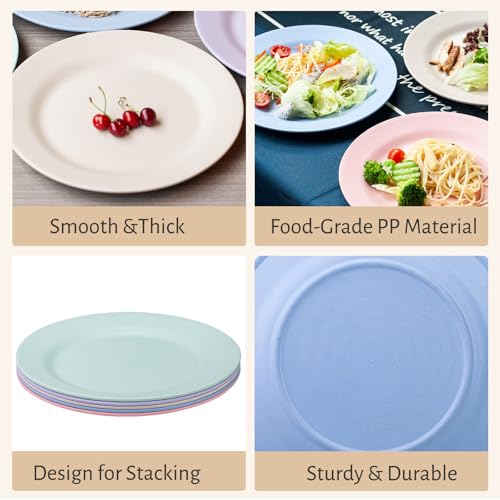 Orrdiffi Kunststoff Teller 25 cm Leichte Kunststoffplatten Unzerbrechliche Große Teller Mikrowellen und Spülmaschinenfest Speiseteller für Pizza,Pasta,Brot,Salat Plastikteller,Camping - Bunt