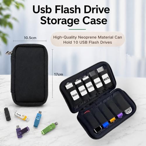 Image of Black Pen Drive Box, 10 Slots USB Flash Drive Organizer for Travel Business Commute Storage, Pen Drive Case for Tech Professionals and Students, Pendrive Pouch
