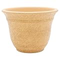 The HC Companies Sierra Round Self-Watering Pot - Lightweight Plastic Planter for Herbs & More - Durable Plant Pots for Indoor Plants & Outdoor Plants (10” Arizona Sand, Pack of 1)