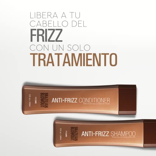 Brazilian Blowout 11DP17 Anti-Frizz Shampoo & Conditioner,2 Count thumb #3