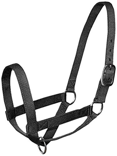 Derby Originals Adjustable Nylon Livestock Cattle Halters, Black, Medium - Thumbnail 4