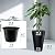 Set of 2 Tall Outdoor Planters 12 x 18 Inch Large Resin Outdoor Planters for Front Porch Flower Round Floor Decorative Indoor Pots with Drainage(Black)