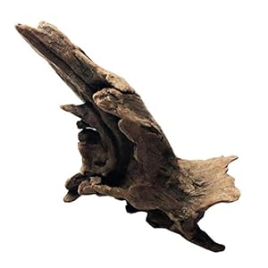 Legno Paesaggio Decorationation Driftwood Albero Acquario Fish Tank Impianto Stump Ornament Landscap Decorazioni Acquario Decorationation Legno Naturale Tronco Casuale Style 1 Pc