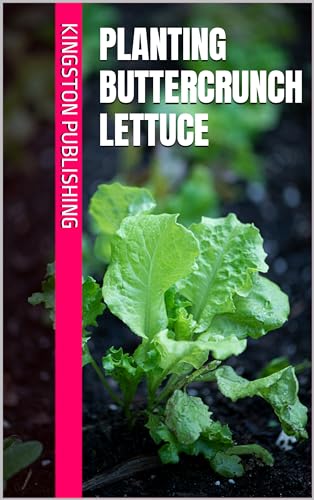 Planting Buttercrunch Lettuce (Urban Vegetable Gardening) (English Edition)