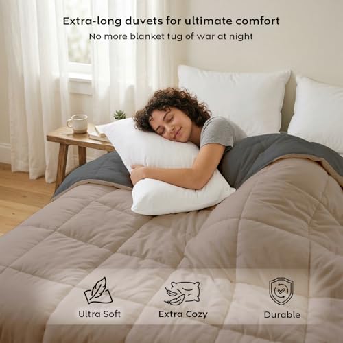 Image of AYKA Reversible AC Comforter 150 GSM Lightweight Microfiber Summer Blanket for Single Bed (60x90 Inches) | Soft Cooling Quilt, Breathable All Season Duvet for AC Room | Taupe & Grey