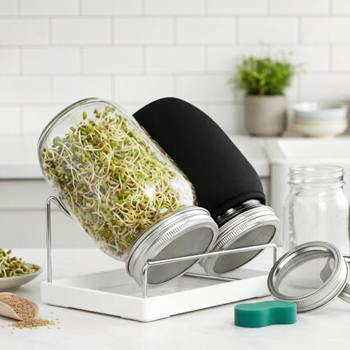 Kit de culture de germes pour réussir la germination de luzerne