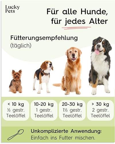 Lucky Pets Premium Magenpulver 275g – Ulmenrinde für Hunde – Ohne Aufkochen sofort verzehrfertig – Hund Darmflora aufbauen – Made in Germany – Slippery Elm Bark